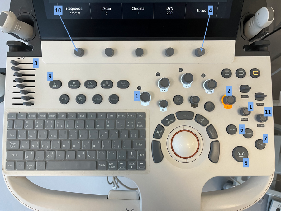 Knobologia: Conhecendo os botões e mostradores de uma máquina de ultrassom  veterinária com o Dr. Christopher Kennedy